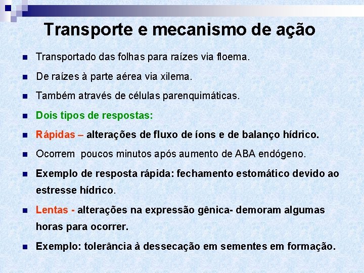 Transporte e mecanismo de ação n Transportado das folhas para raízes via floema. n