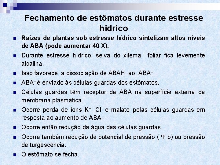 Fechamento de estômatos durante estresse hídrico n Raízes de plantas sob estresse hídrico sintetizam