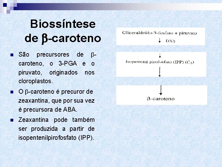 Biossíntese de -caroteno n São precursores de caroteno, o 3 -PGA e o piruvato,