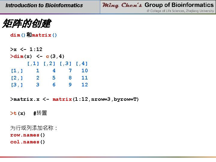 Introduction to Bioinformatics 矩阵的创建 dim()和matrix() >x <- 1: 12 >dim(x) <- c(3, 4) [,