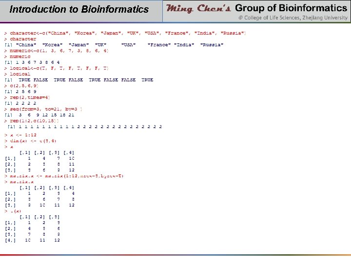 Introduction to Bioinformatics 