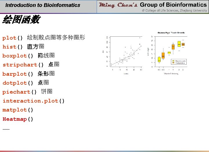 Introduction to Bioinformatics 绘图函数 plot() 绘制散点图等多种图形 hist() 直方图 boxplot() 箱线图 stripchart() 点图 barplot() 条形图