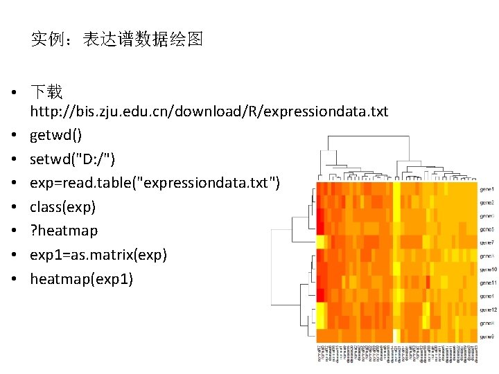 实例：表达谱数据绘图 • 下载 http: //bis. zju. edu. cn/download/R/expressiondata. txt • getwd() • setwd("D: /")