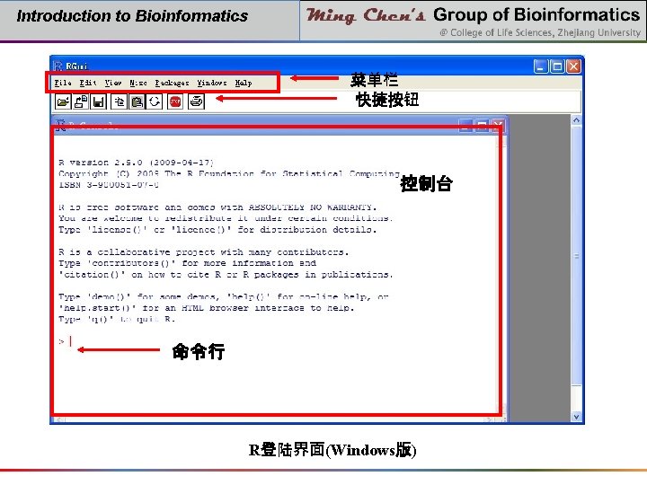 Introduction to Bioinformatics 菜单栏 快捷按钮 控制台 命令行 R登陆界面(Windows版) 