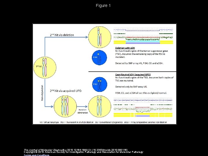 Figure 1 The Journal of Molecular Diagnostics 2010 12184 -196 DOI: (10. 2353/jmoldx. 2010.