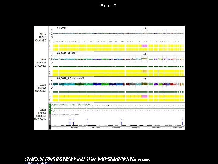 Figure 2 The Journal of Molecular Diagnostics 2010 12184 -196 DOI: (10. 2353/jmoldx. 2010.