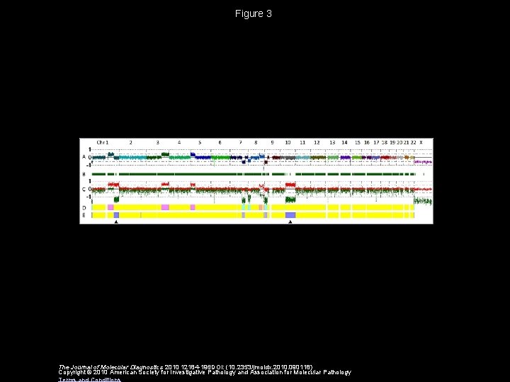 Figure 3 The Journal of Molecular Diagnostics 2010 12184 -196 DOI: (10. 2353/jmoldx. 2010.