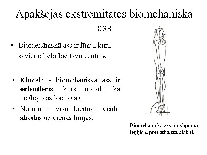 Apakšējās ekstremitātes biomehāniskā ass • Biomehāniskā ass ir līnija kura savieno lielo locītavu centrus.