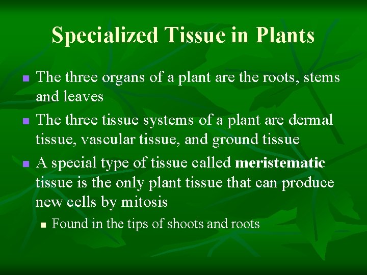 Specialized Tissue in Plants n n n The three organs of a plant are