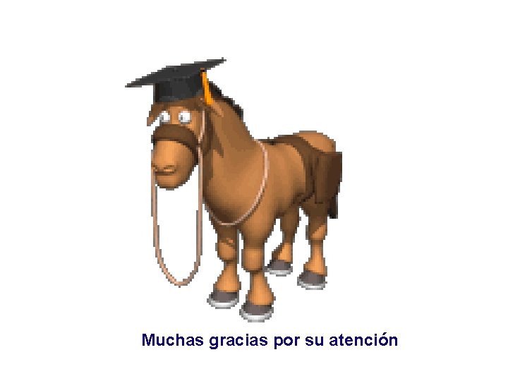 Muchas gracias por su atención 