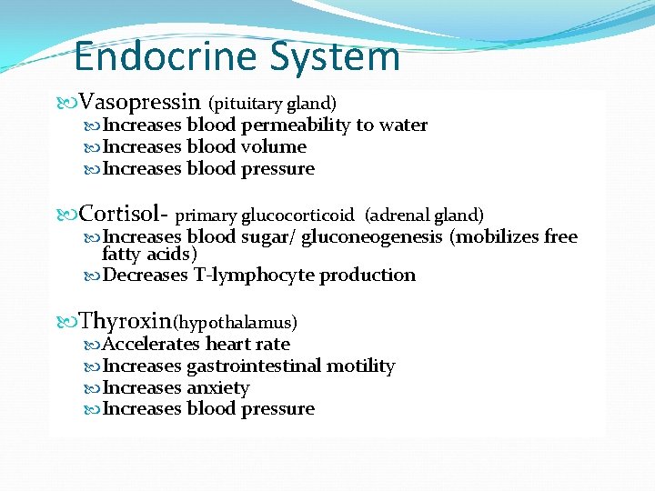 Endocrine System Vasopressin (pituitary gland) Increases blood permeability to water Increases blood volume Increases