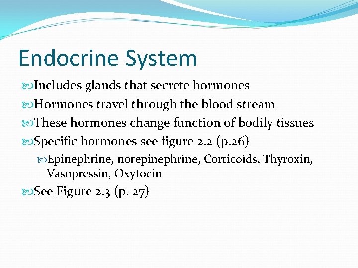 Endocrine System Includes glands that secrete hormones Hormones travel through the blood stream These