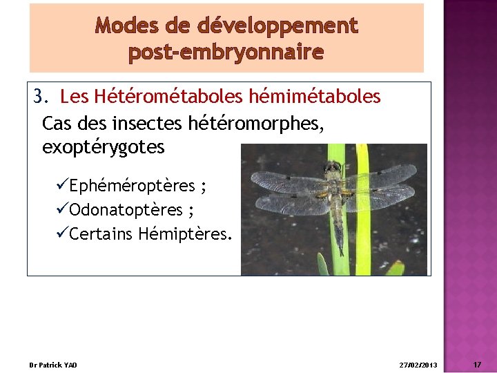 Modes de développement post-embryonnaire 3. Les Hétérométaboles hémimétaboles Cas des insectes hétéromorphes, exoptérygotes üEphéméroptères