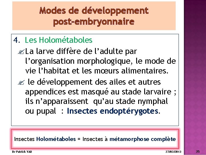 Modes de développement post-embryonnaire 4. Les Holométaboles La larve diffère de l’adulte par l’organisation