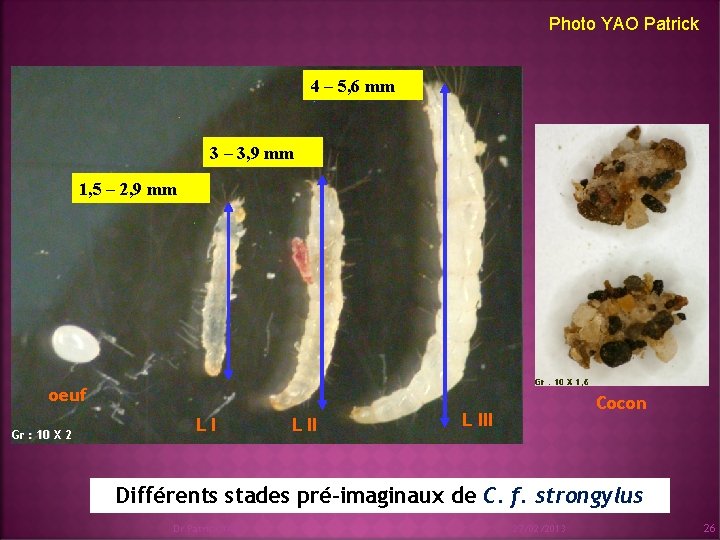 Photo YAO Patrick 4 – 5, 6 mm 3 – 3, 9 mm 1,