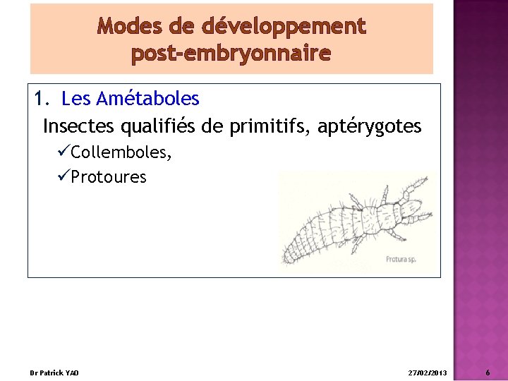 Modes de développement post-embryonnaire 1. Les Amétaboles Insectes qualifiés de primitifs, aptérygotes üCollemboles, üProtoures