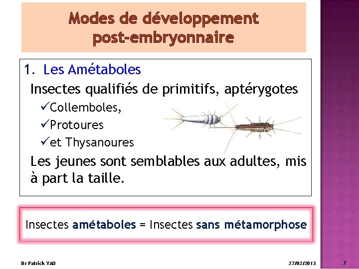 Modes de développement post-embryonnaire 1. Les Amétaboles Insectes qualifiés de primitifs, aptérygotes üCollemboles, üProtoures
