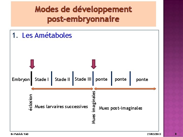 Modes de développement post-embryonnaire 1. Les Amétaboles Dr Patrick YAO Stade III ponte Mues