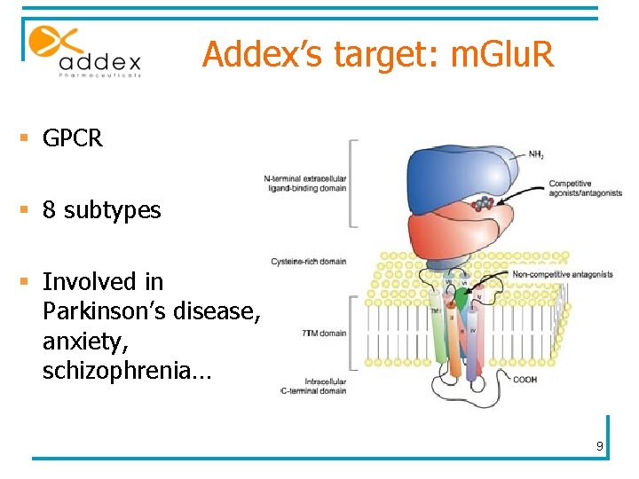 Addex’s target: m. Glu. R § GPCR § 8 subtypes § Involved in Parkinson’s