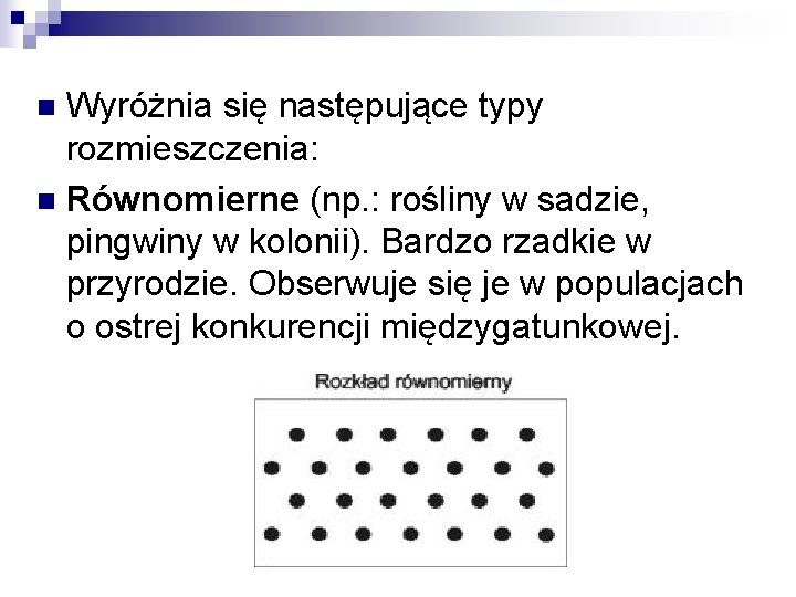 Wyróżnia się następujące typy rozmieszczenia: n Równomierne (np. : rośliny w sadzie, pingwiny w Wyróżnia się następujące typy rozmieszczenia: n Równomierne (np. : rośliny w sadzie, pingwiny w