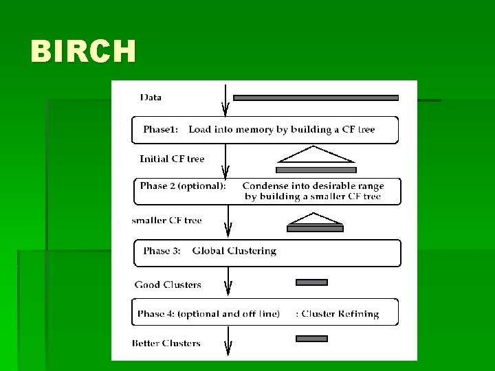 BIRCH 