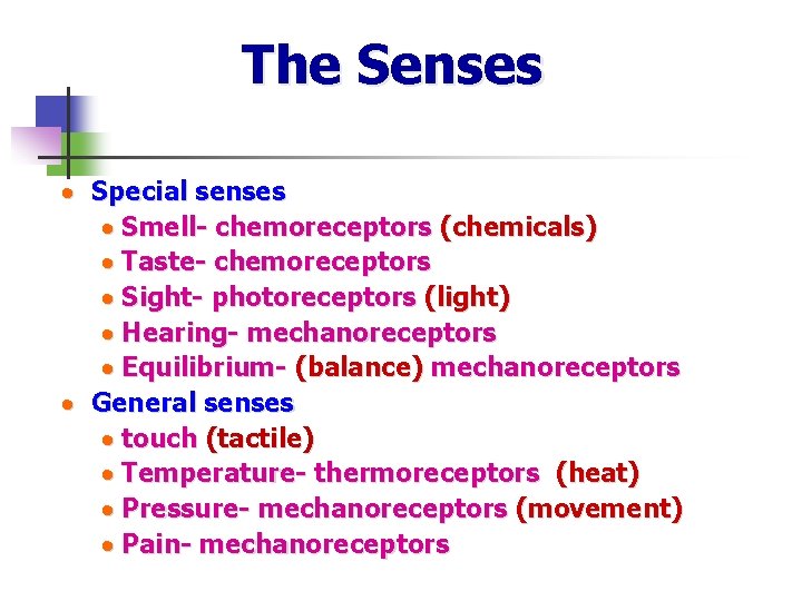 The Senses · Special senses · Smell- chemoreceptors (chemicals) · Taste- chemoreceptors · Sight-