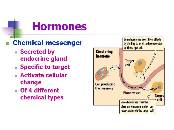 Hormones n Chemical messenger n n Secreted by endocrine gland Specific to target Activate