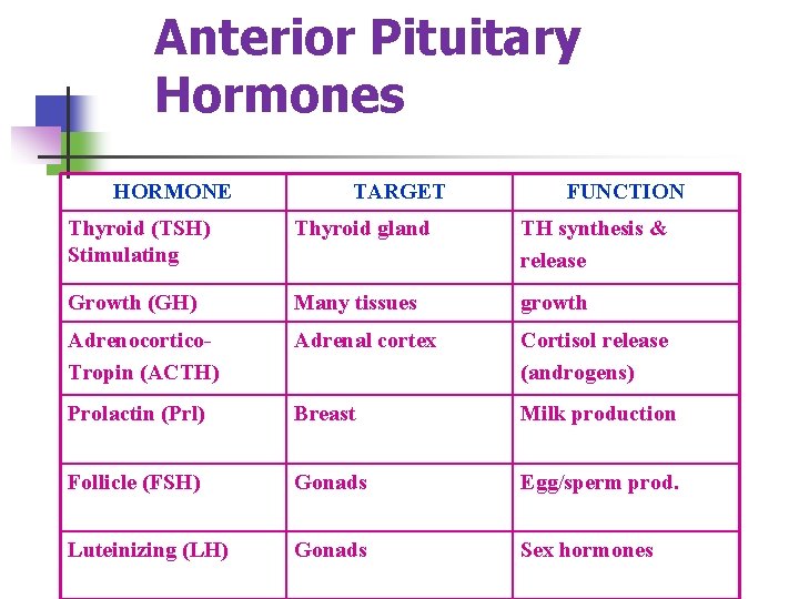 Anterior Pituitary Hormones HORMONE TARGET FUNCTION Thyroid (TSH) Stimulating Thyroid gland TH synthesis &