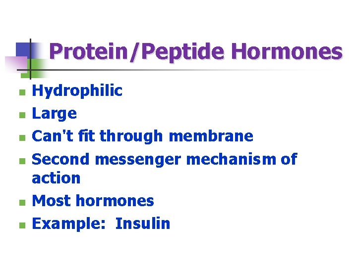 Protein/Peptide Hormones n n n Hydrophilic Large Can't fit through membrane Second messenger mechanism