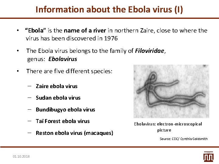 Information about the Ebola virus (I) • “Ebola” is the name of a river