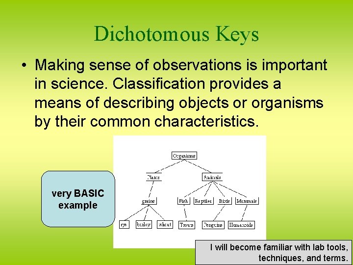 Dichotomous Keys • Making sense of observations is important in science. Classification provides a
