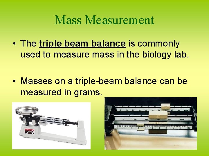 Mass Measurement • The triple beam balance is commonly used to measure mass in