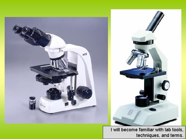 I will become familiar with lab tools, techniques, and terms. 