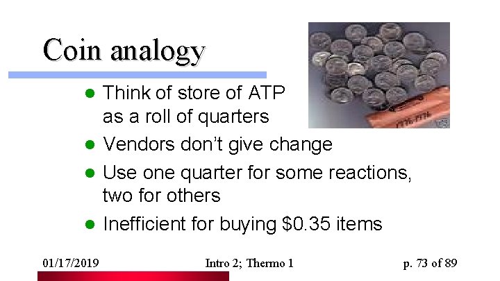 Coin analogy Think of store of ATP as a roll of quarters l Vendors