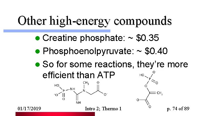 Other high-energy compounds l Creatine phosphate: ~ $0. 35 l Phosphoenolpyruvate: ~ $0. 40