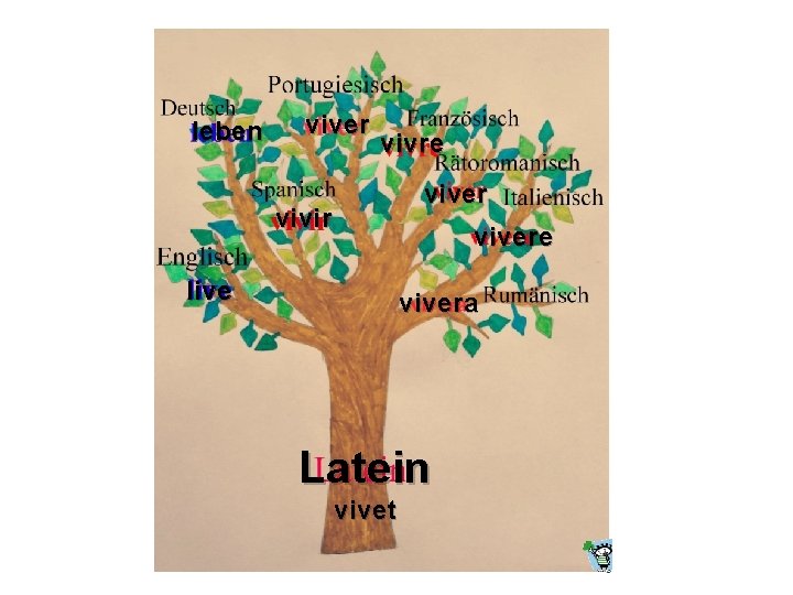 leben viver vivre viver vivir vivere live vivera Latein vivet 