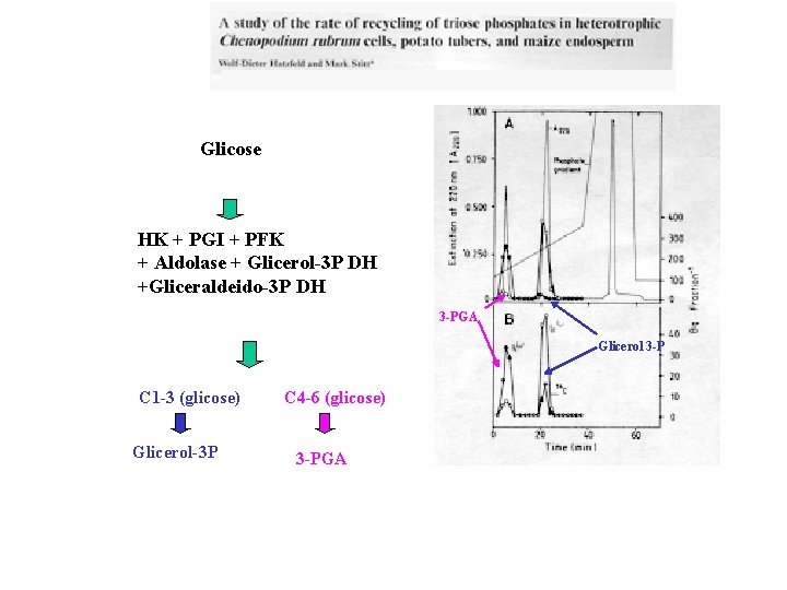 Glicose HK + PGI + PFK + Aldolase + Glicerol-3 P DH +Gliceraldeido-3 P