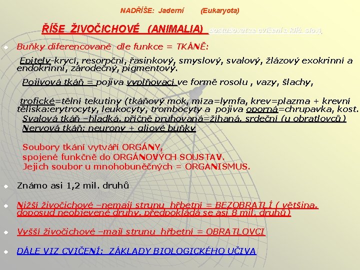 NADŘÍŠE: Jaderní (Eukaryota) ŘÍŠE ŽIVOČICHOVÉ (ANIMALIA) u dostudovat ze cvičení a klíč. slov) Buňky