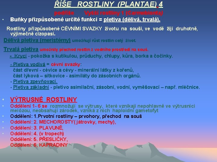 ŘÍŠE ROSTLINY (PLANTAE) 4 • podříše Vyšší rostliny 1 (Carmobionta) Buňky přizpůsobené určité funkci