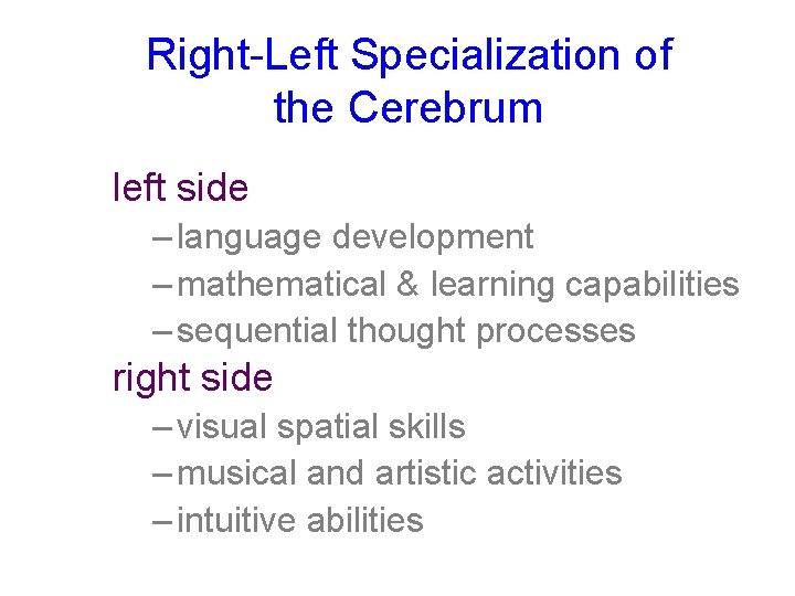 Right-Left Specialization of the Cerebrum left side – language development – mathematical & learning