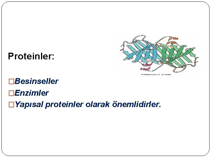 Proteinler: �Besinseller �Enzimler �Yapısal proteinler olarak önemlidirler. 