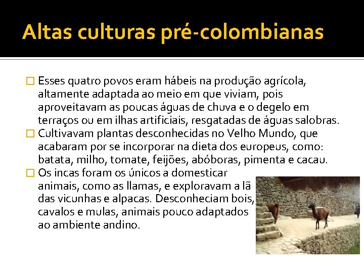 Altas culturas pré-colombianas � Esses quatro povos eram hábeis na produção agrícola, altamente adaptada