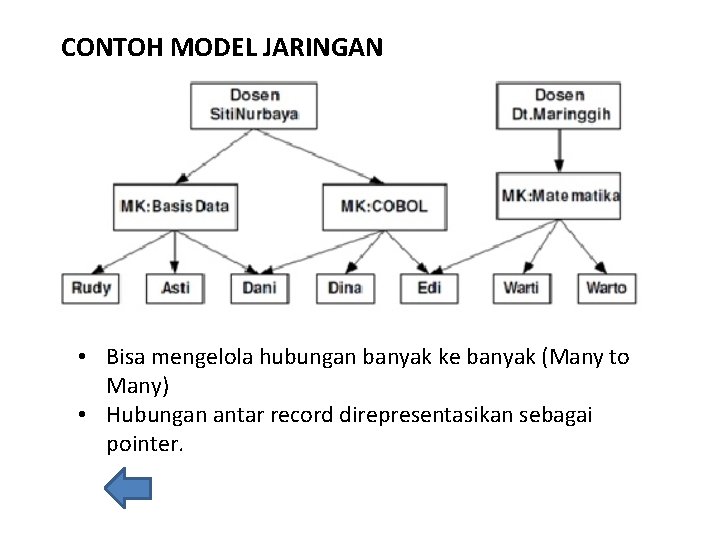 CONTOH MODEL JARINGAN • Bisa mengelola hubungan banyak ke banyak (Many to Many) •