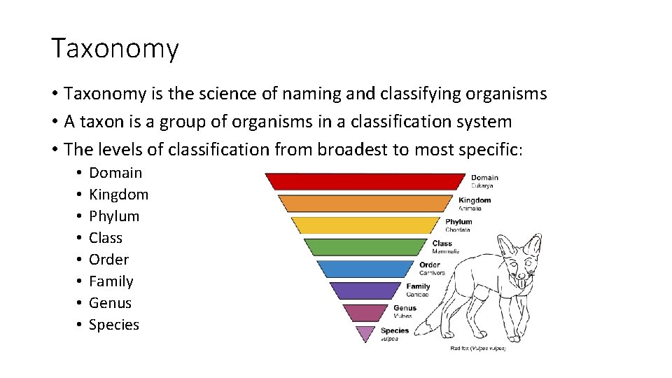 Taxonomy • Taxonomy is the science of naming and classifying organisms • A taxon