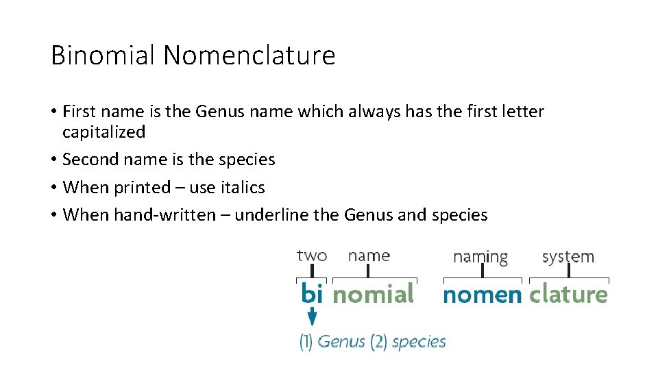 Binomial Nomenclature • First name is the Genus name which always has the first