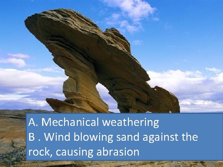 National Geographic Photos A. Mechanical weathering B. Wind blowing sand against the rock, causing