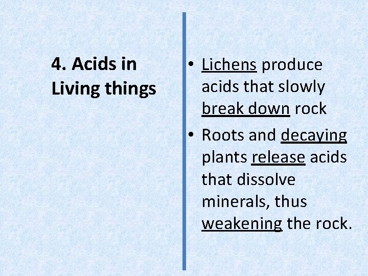 4. Acids in Living things • Lichens produce acids that slowly break down rock