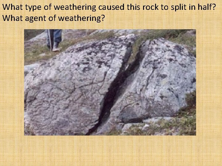 What type of weathering caused this rock to split in half? What agent of