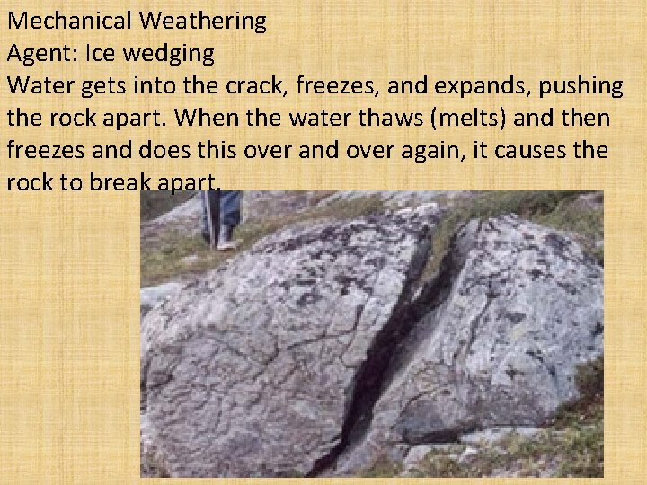 Mechanical Weathering Agent: Ice wedging Water gets into the crack, freezes, and expands, pushing