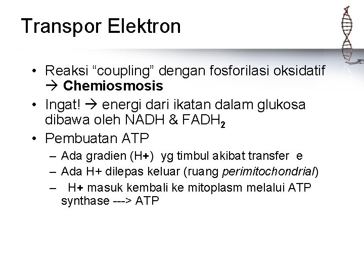 Transpor Elektron • Reaksi “coupling” dengan fosforilasi oksidatif Chemiosmosis • Ingat! energi dari ikatan